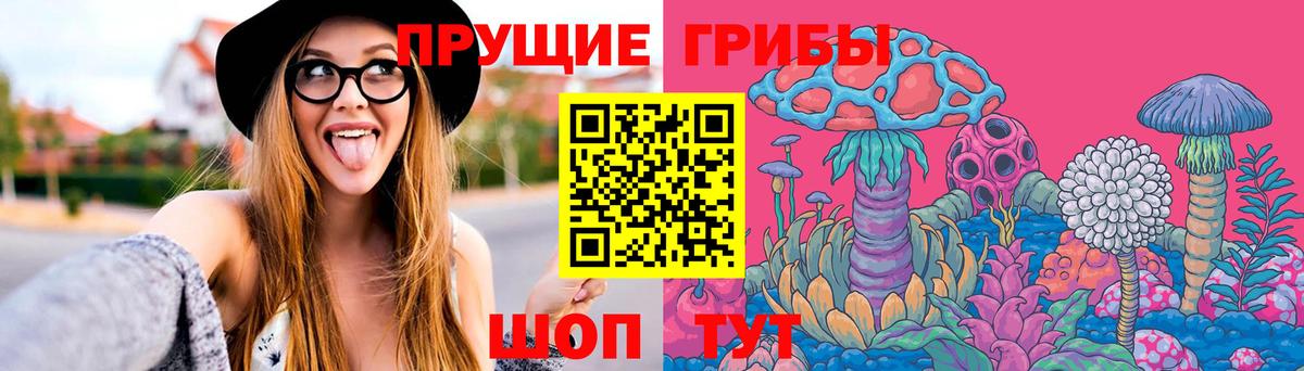 Галлюциногенные грибы прущие грибы Ростов-на-Дону