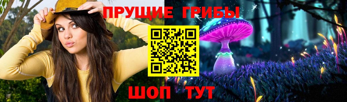 Ростов-на-Дону  закладка  Вход с VPN  Галлюциногенные грибы Psilocybe 